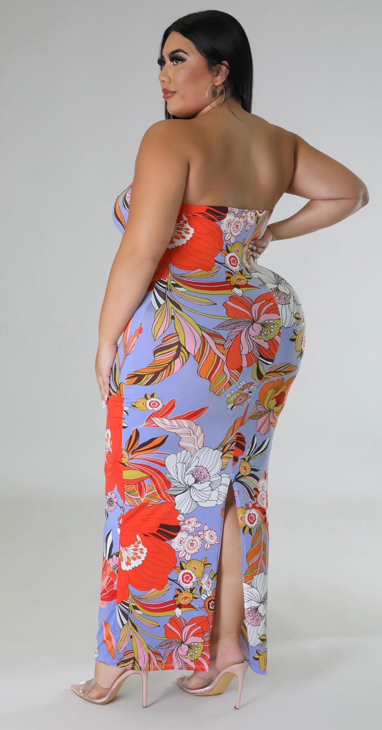 Soft Touch Dress (Plus Size)